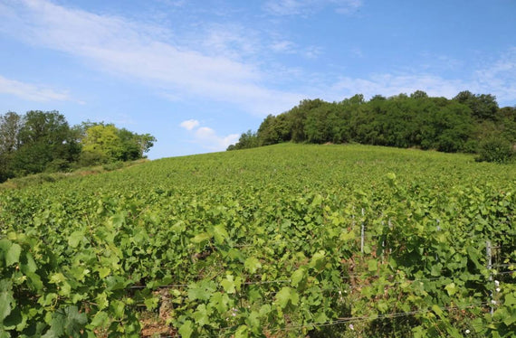 Domaine Voarick