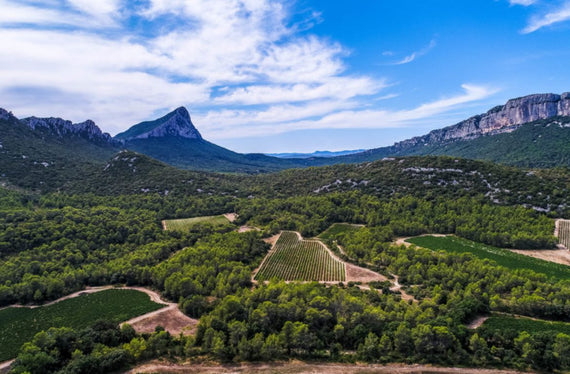 Ermitage du Pic Saint-loup