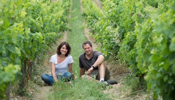 Famille Hubert Vignerons