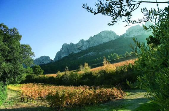 Maison Gabriel Meffre