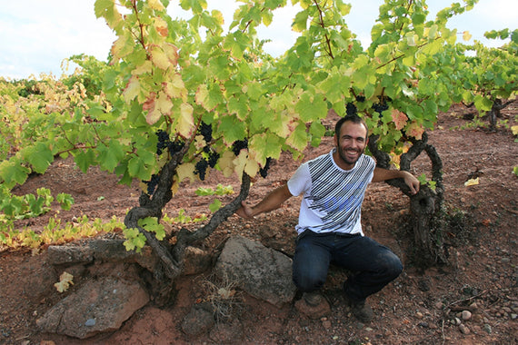 Proyecto Garnachas