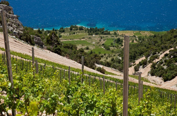 Stina Winery
