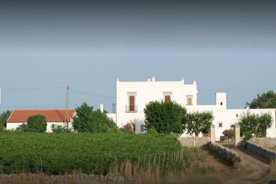 Tenuta Patruno Perniola