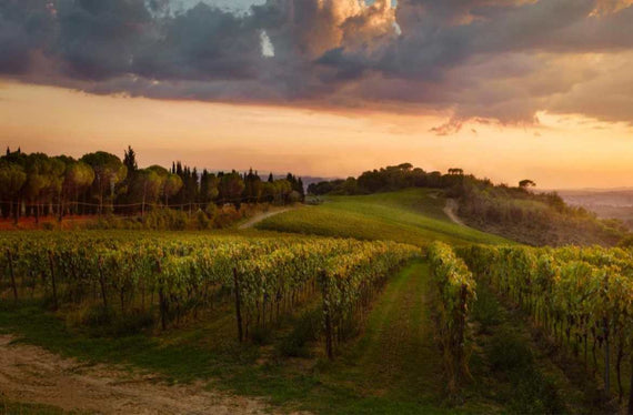 Tenuta San Vito