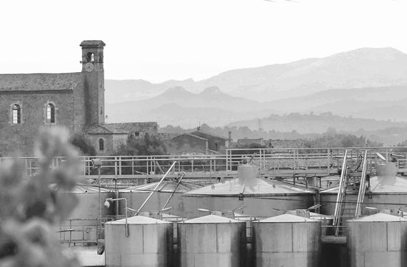 Vignerons de Saint Maurice