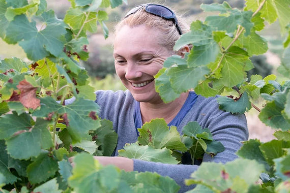 Vitifarm Lanye-Barrac